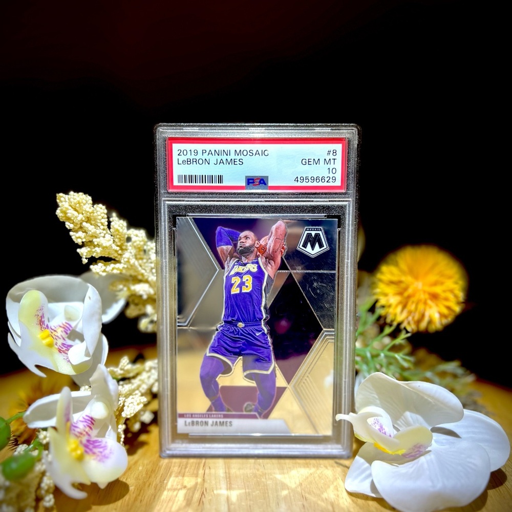 2019 LEBRON JAMES PANINI MOSAIC RARE / MINT PSA GRADE 10 SILVER CARD